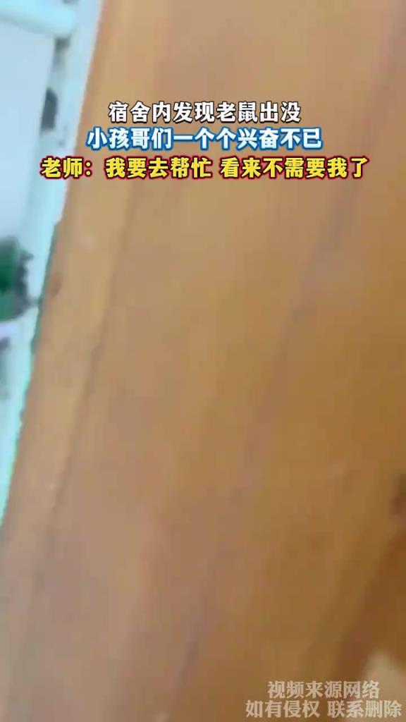 宿舍內發現老鼠出沒 小孩哥們一個個興奮不已
