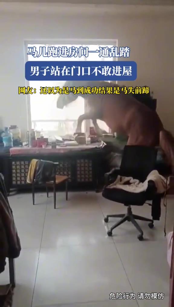 马儿跑进房间一通乱踏,男子站在门口不敢进屋!!