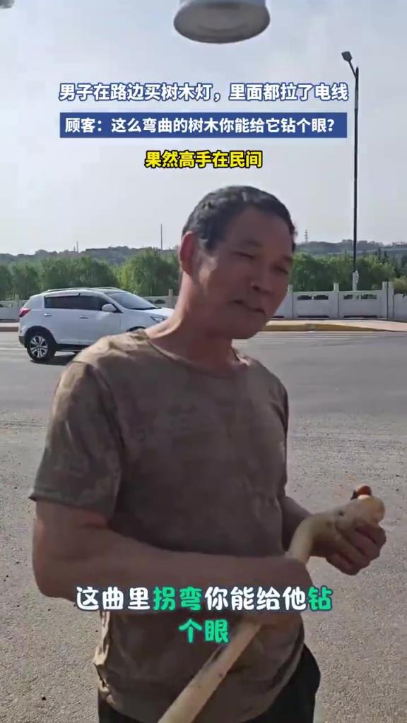 男子路边买树木灯，发现内部拉有电线