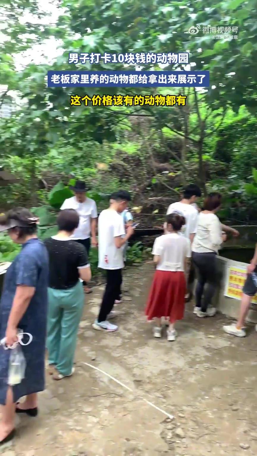 男子打卡10块钱的动物园！！