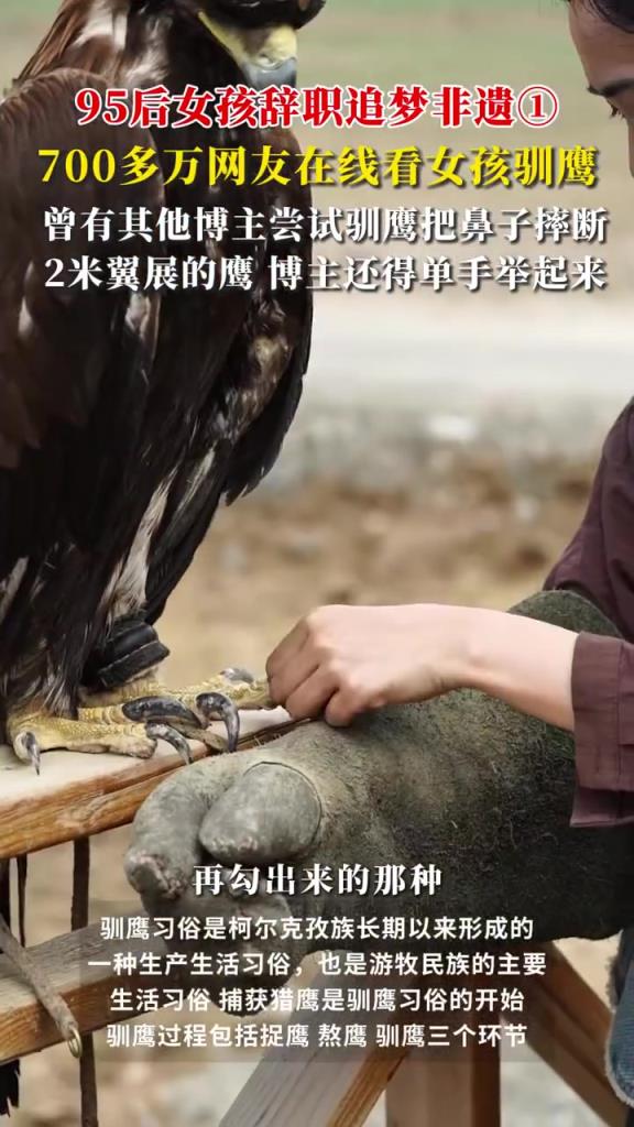 “摇铃啊摇铃儿” 接受专访，讲述自己的训鹰故事！