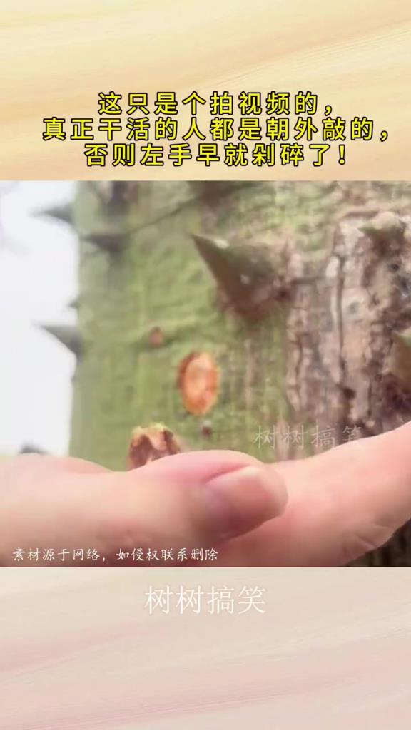 真正干活的人都是朝外敲的，否则左手早剁碎了！！