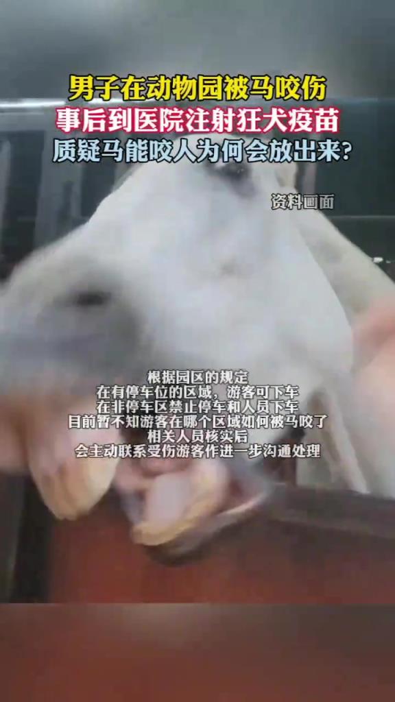 男子在动物园被马咬伤注射狂犬疫苗