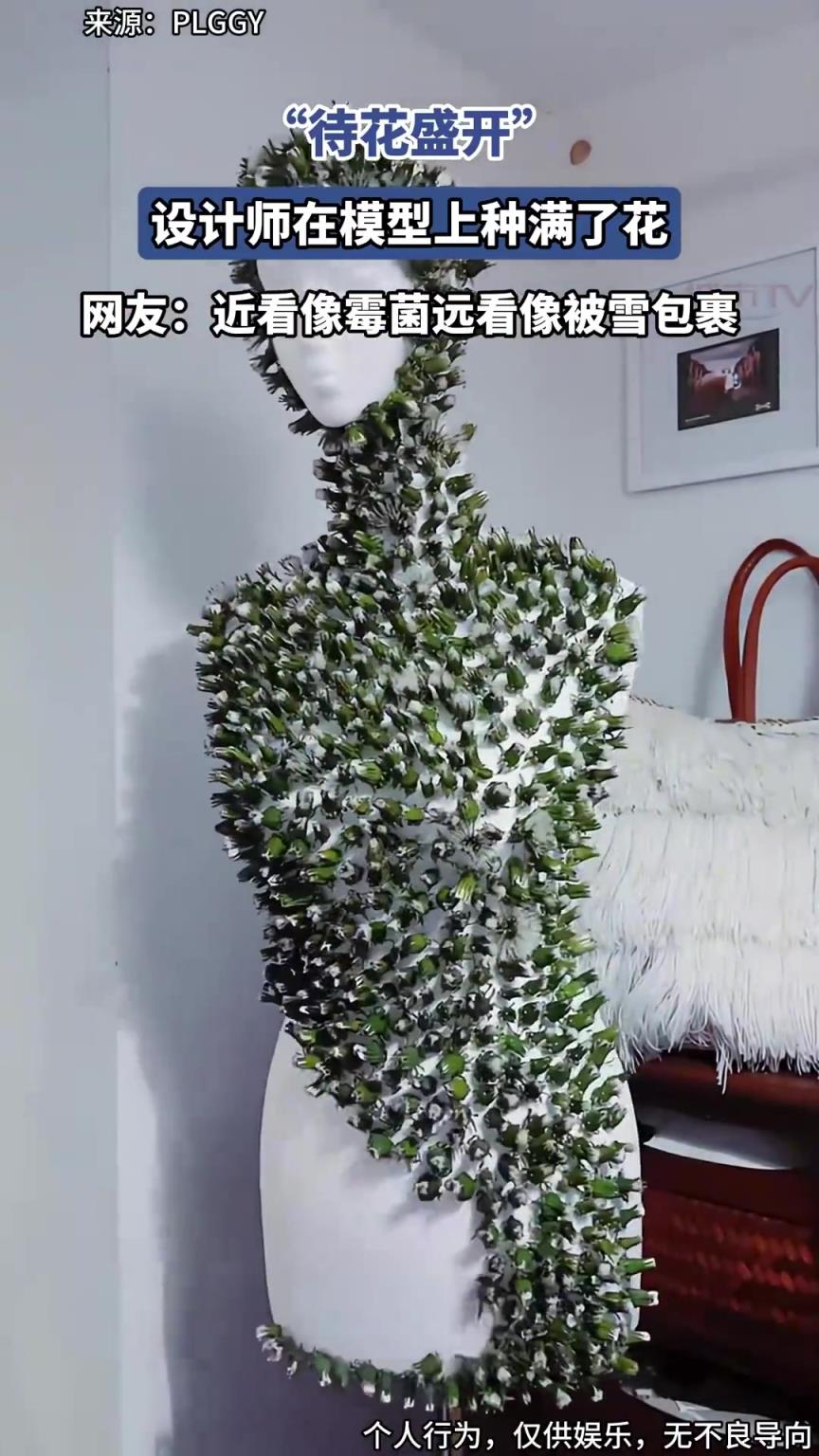 设计师在模型上种满了花，近看像霉菌远看像被雪包裹！！