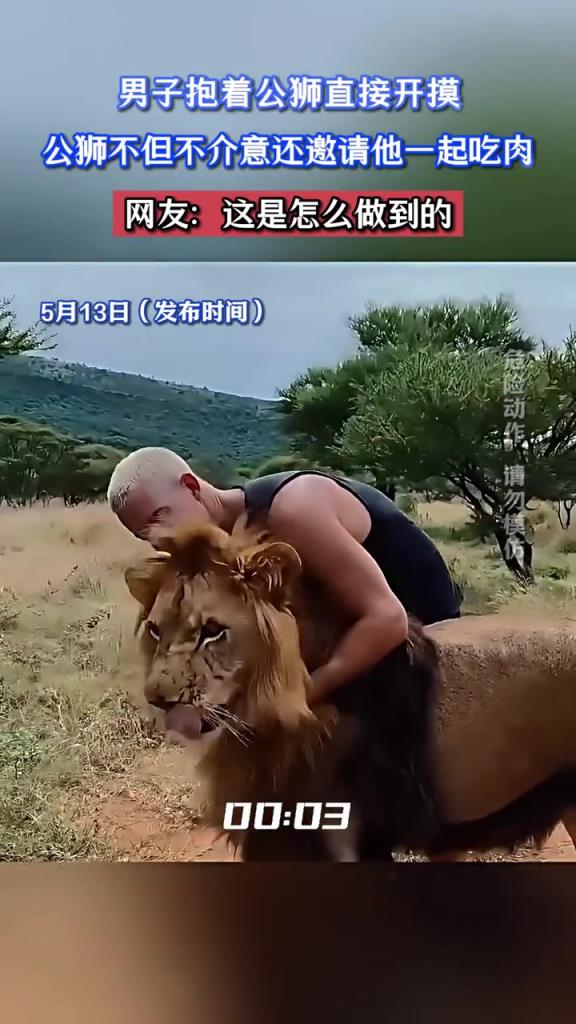 男子抱着公狮直接开摸,公狮不但不介意还邀请他一起吃肉!
