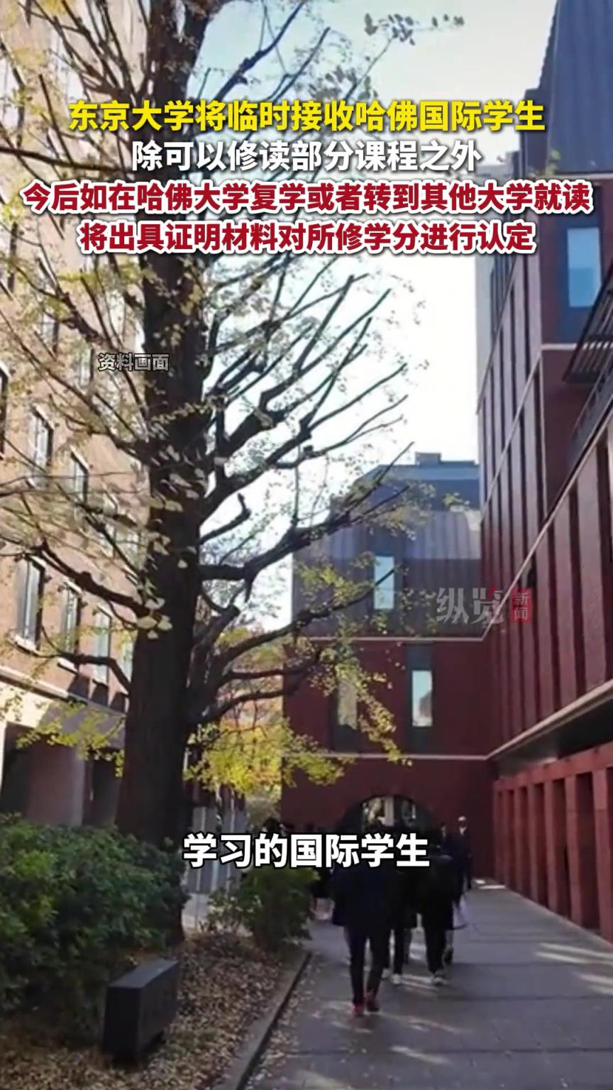 东京大学将临时接收哈佛国际学生。