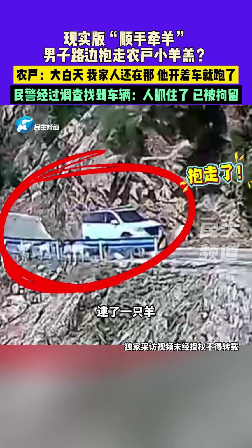 现实版“顺手牵羊”，男子路边抱走农户小羊羔？