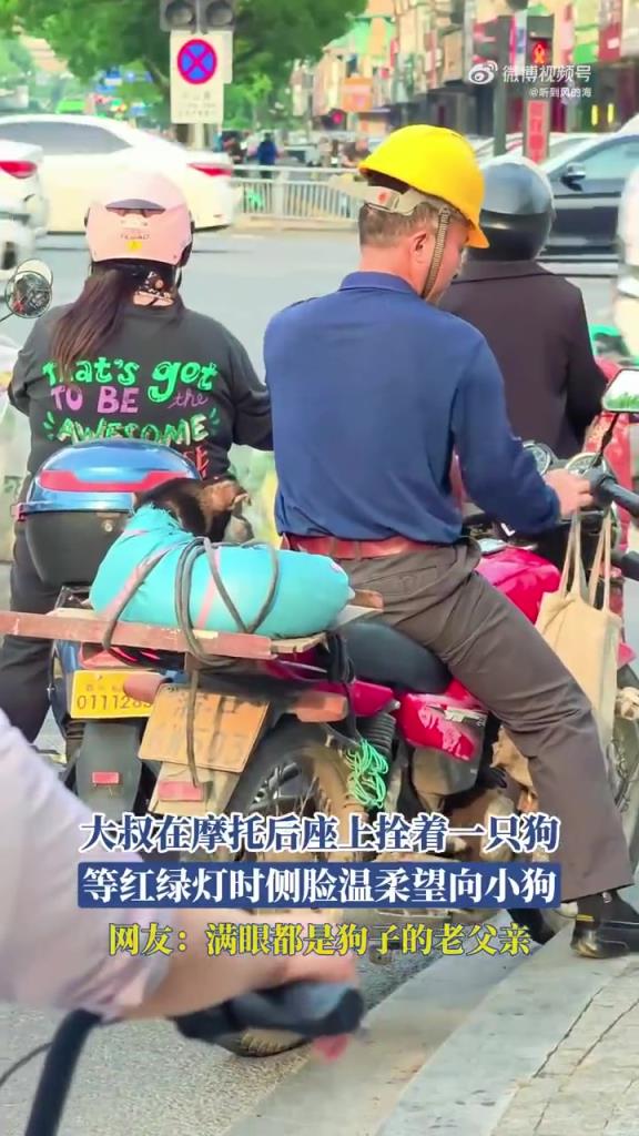 大叔在摩托后座上拴着一只狗 等红绿灯时侧脸温柔望向小狗