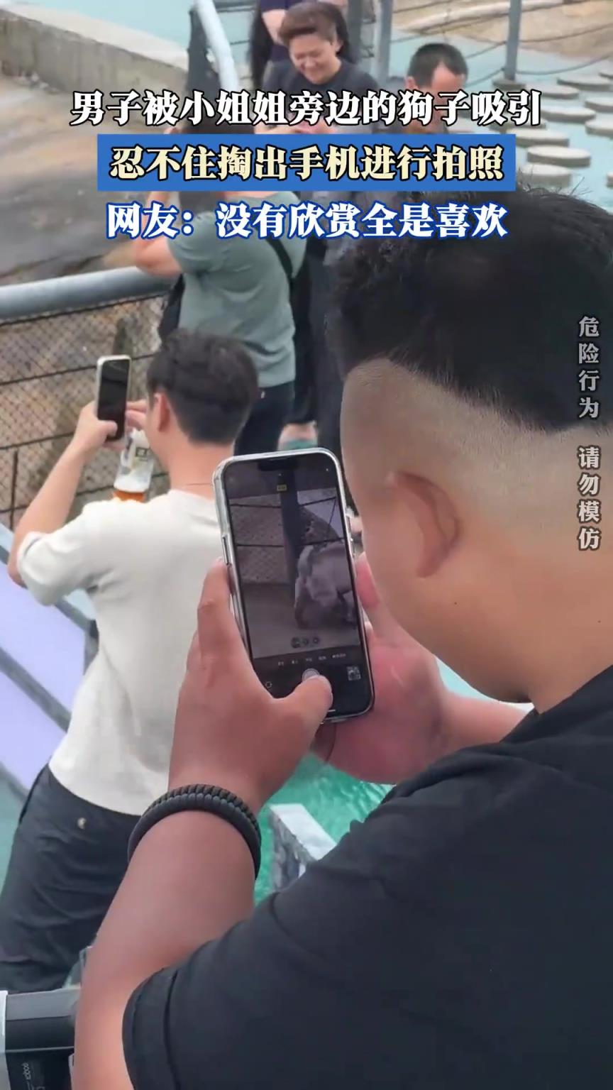 男子被小姐姐旁边的狗子吸引，忍不住掏出手机进行拍照！！