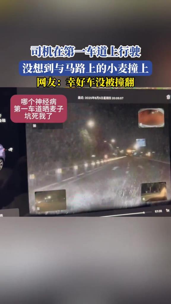 司机在第一车道上行驶,没想到与马路上的小麦撞上!!!