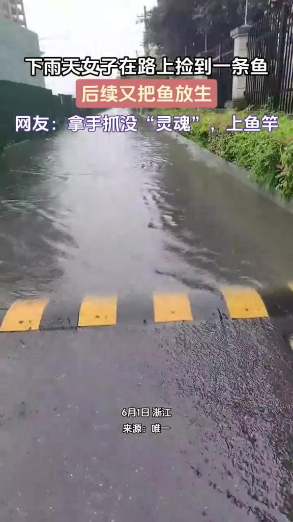 下雨天女子在路上捡到一条鱼，后续又把鱼放生