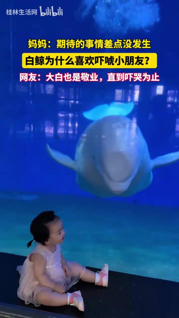白鲸为什么喜欢吓唬小朋友？网友：大白也是敬业，直到吓哭为止