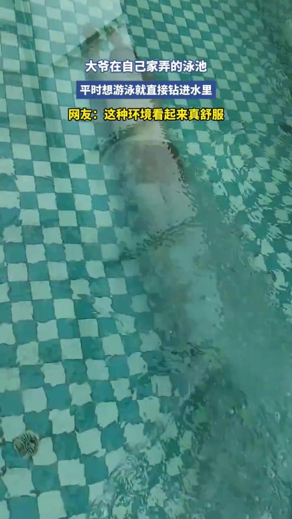 大爷在自己家弄的泳池 平时想游泳就直接钻进水里