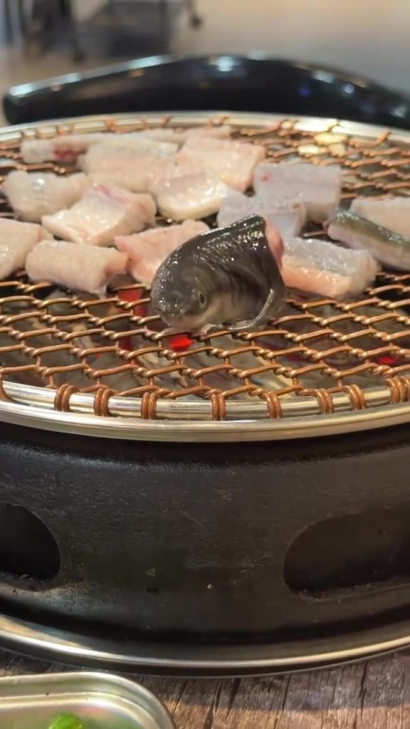 我怎麽感覺它在記住你的樣子