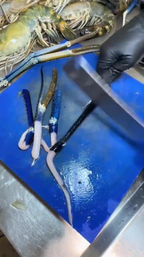这大麻虾爪子，这样取是不是非常简单