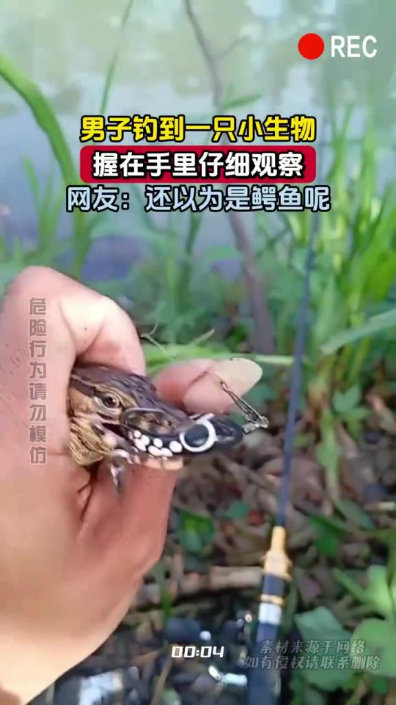 男子钓到一只小生物，握在手里仔细观察