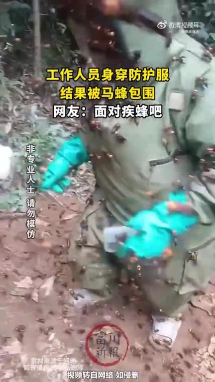 工作人员身着防护服却遭马蜂包围