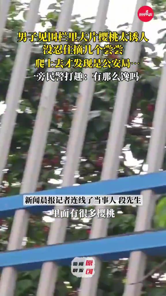 男子眼馋围栏外的樱桃摘后才看清：是公安局的
