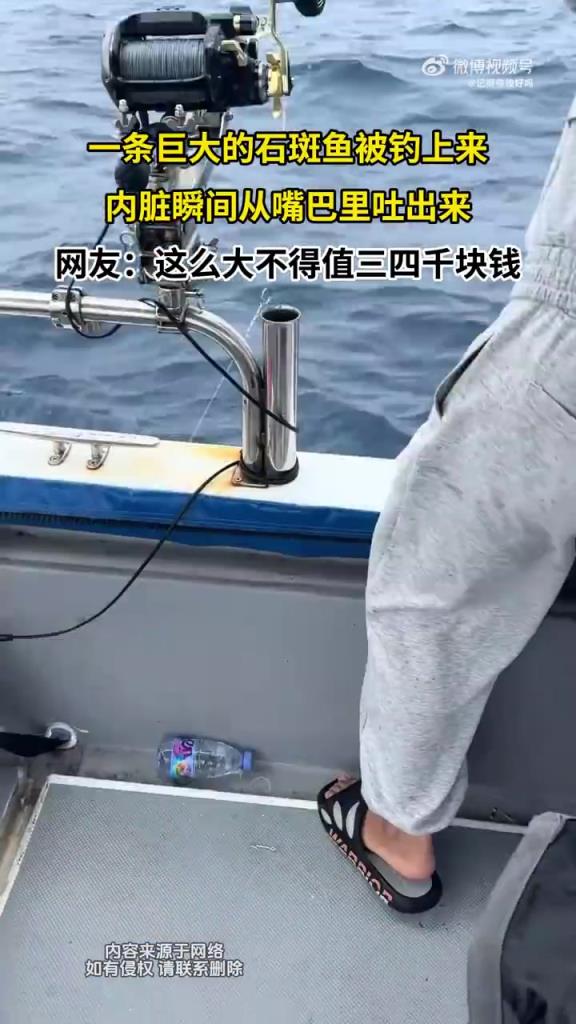 一条巨大的石斑鱼被钓上来，内脏瞬间从嘴巴里吐出来