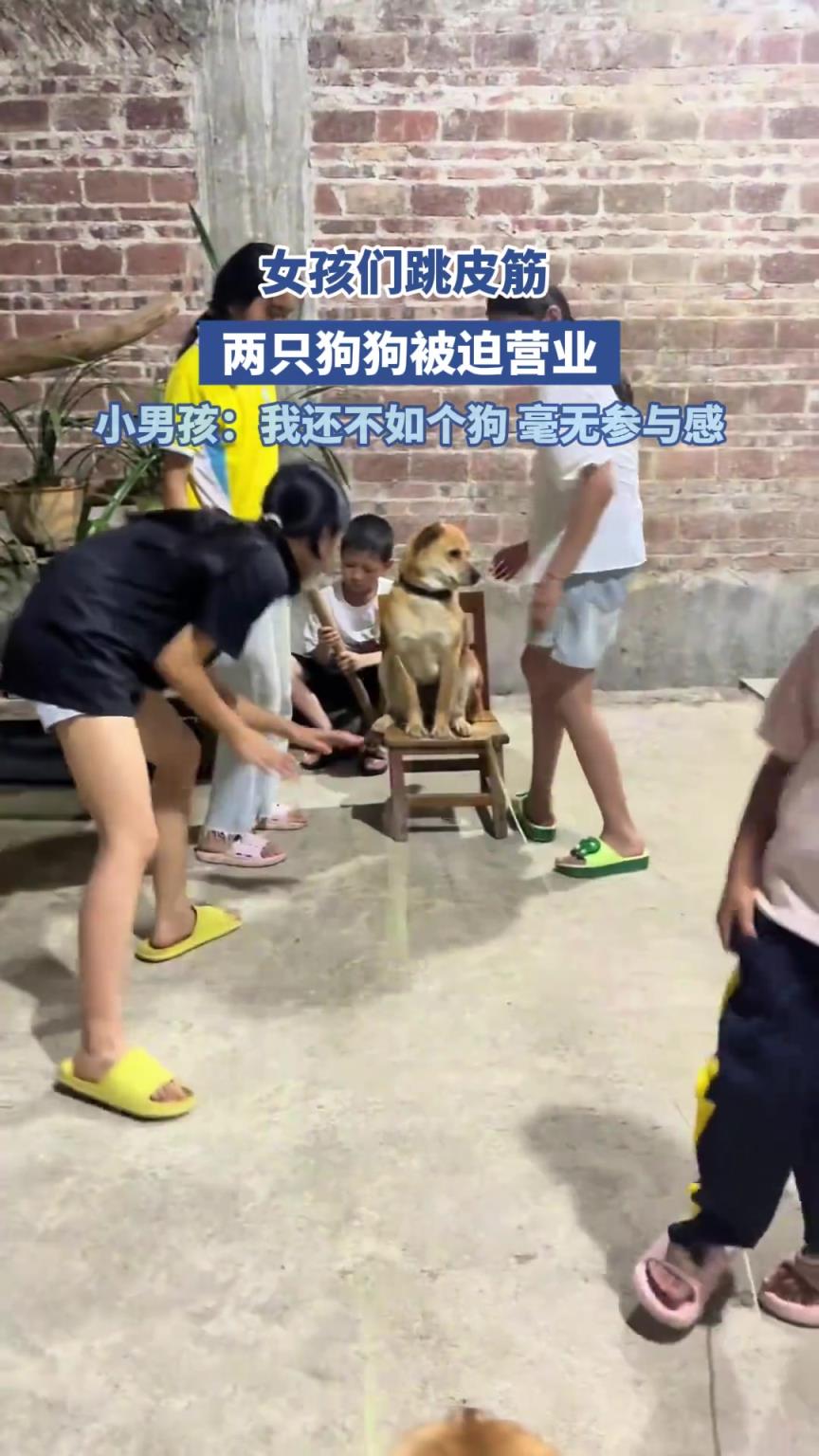 女孩们跳皮筋，两只狗狗被迫营业