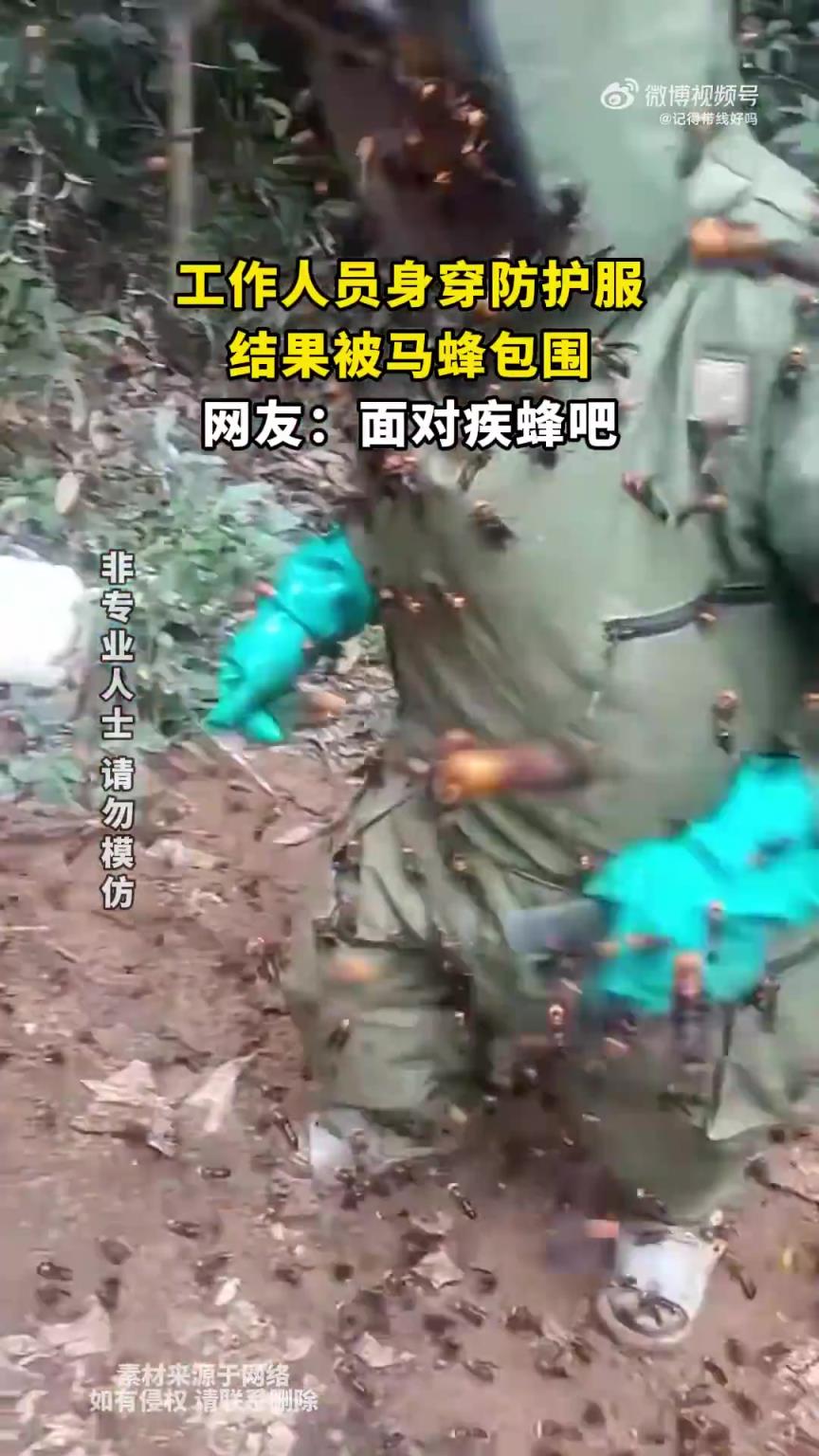 工作人员身穿防护服，结果被马蜂包围，网友：面对疾蜂吧