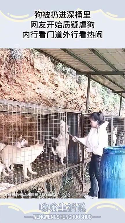 狗被扔深桶引网友质疑虐狗，内行外行反应各异