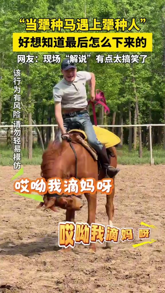 当犟种马遇上犟种人，好想知道最后怎么下来的!!!