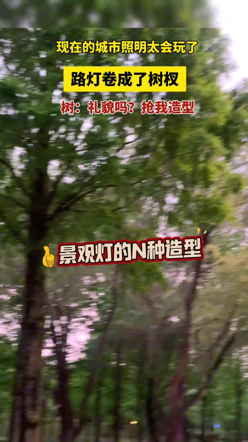 现在的城市照明太会玩了 路灯卷成了树杈