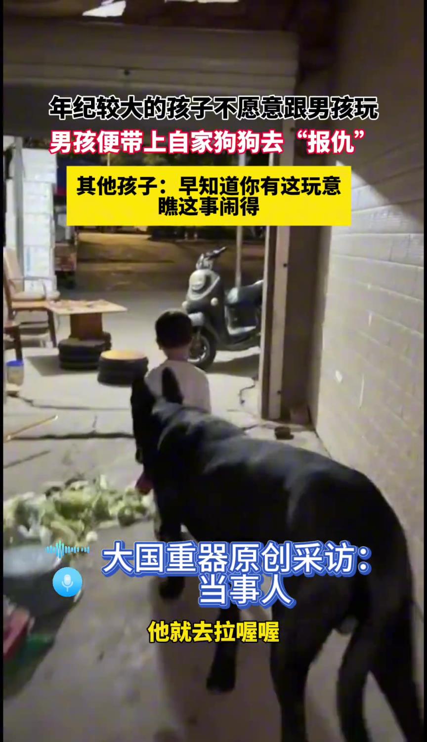 年纪较大的孩子不愿意跟男孩玩，男孩便带上自家狗狗去“报仇”