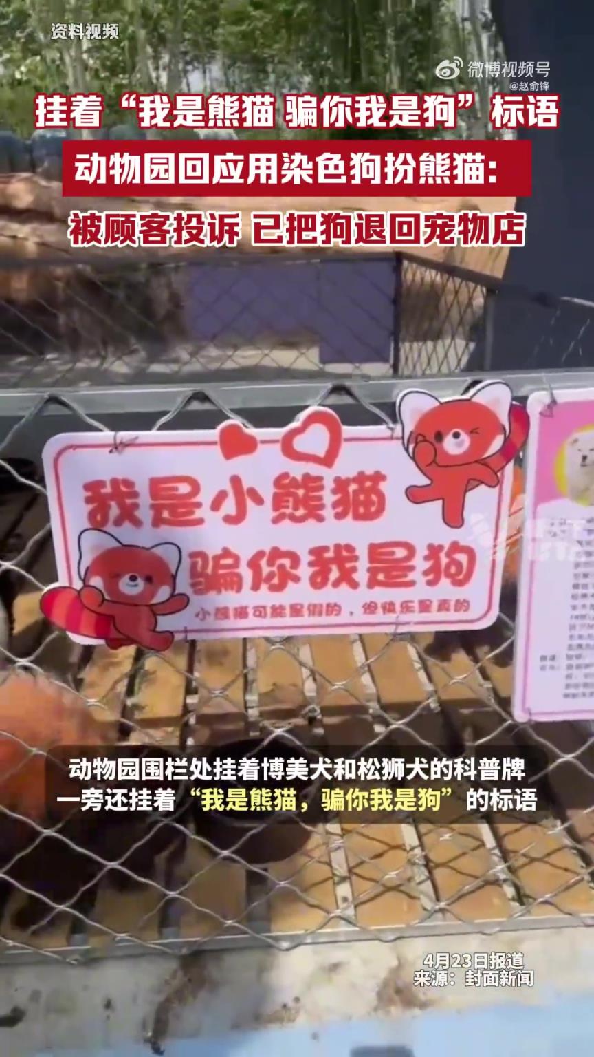 动物园回应染色狗扮熊猫：被投诉后已将狗退回宠物店