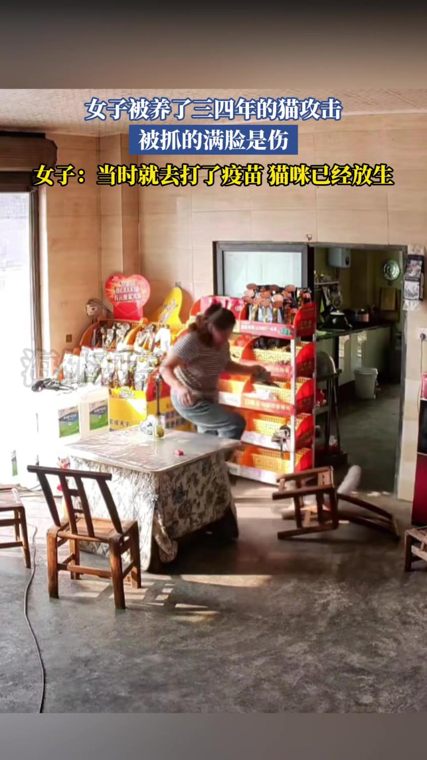 女子被养了三四年的猫攻击，被抓的满脸是伤