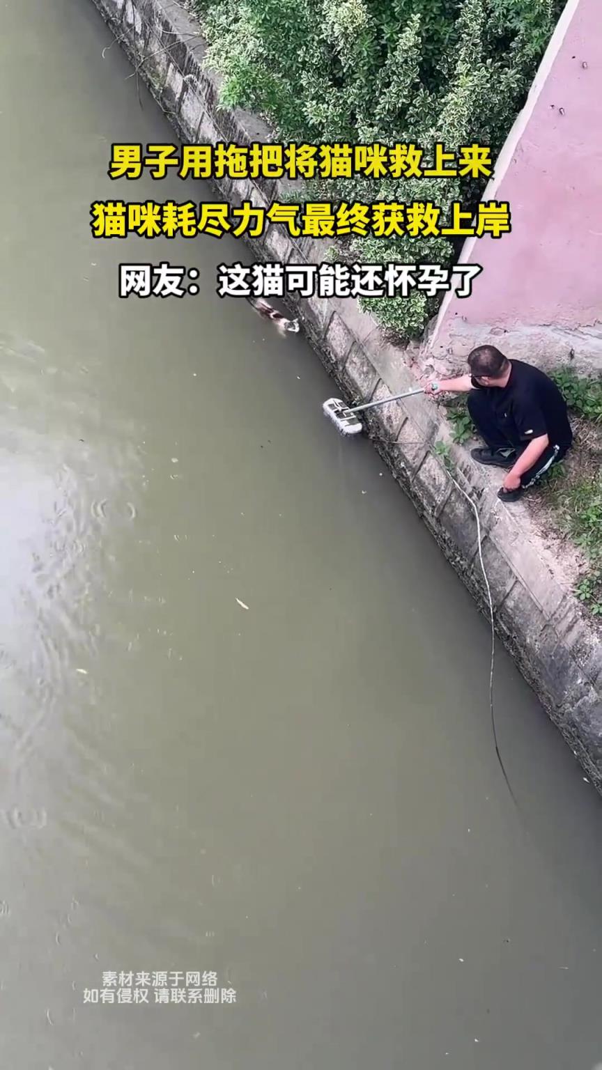 男子用拖把将猫咪救上来，猫咪耗尽力气最终获救上岸