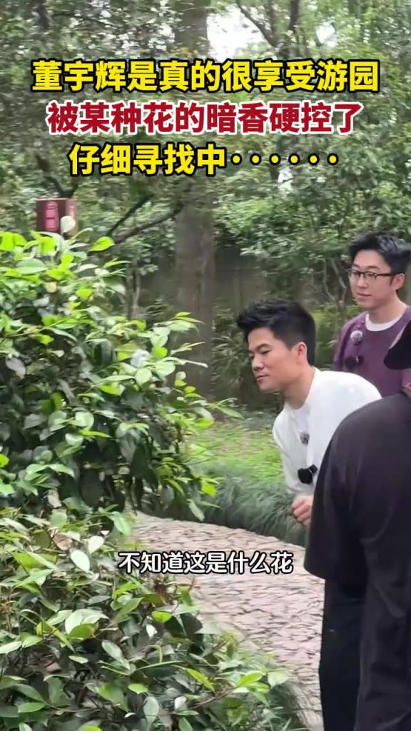 董宇辉是真的很享受游园，被某种花的暗香硬控了