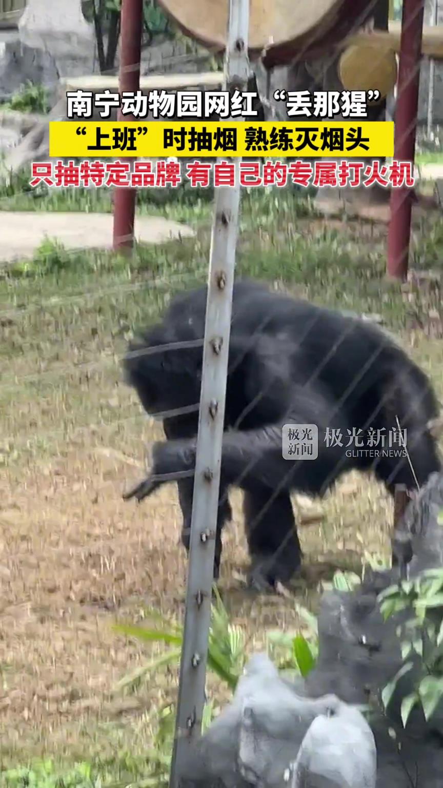 一看就是老烟民了