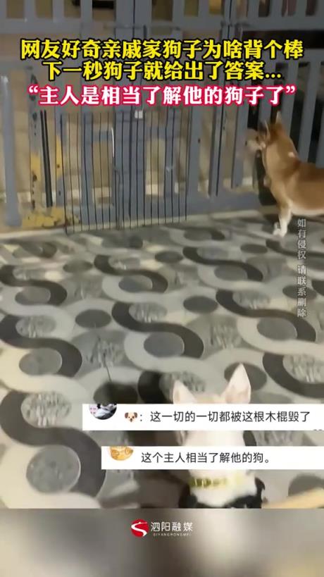 事出有因必有妖