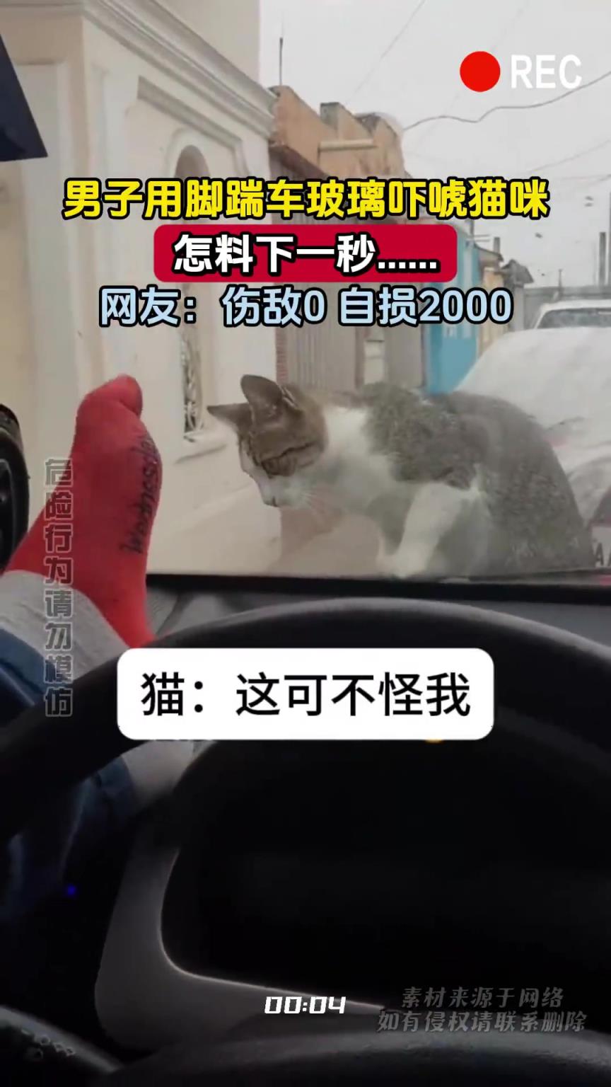 男子用脚踹车玻璃吓唬猫咪，怎料下一秒……网友：伤敌0 自损2000