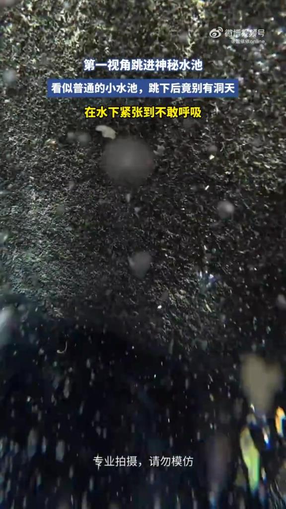 第一视角跳进神秘水池，看似普通的小水池，跳下后竟别有洞天