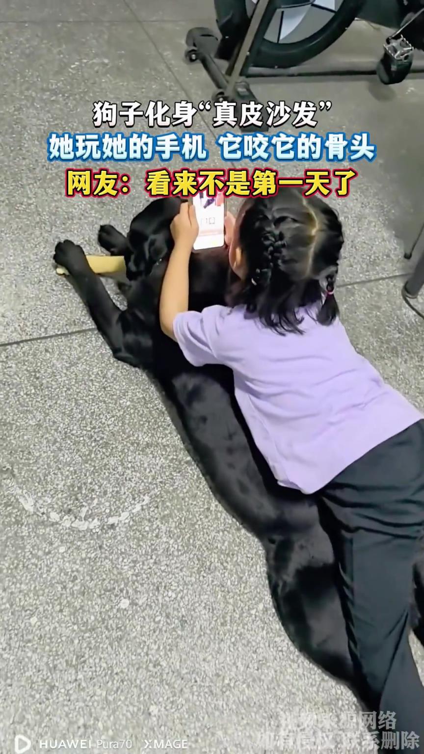 狗子化身“真皮沙发”，她玩她的手机 它咬它的骨头