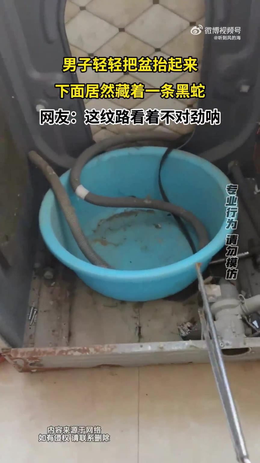 男子轻轻把盆抬起来,下面居然藏着一条黑蛇!!!