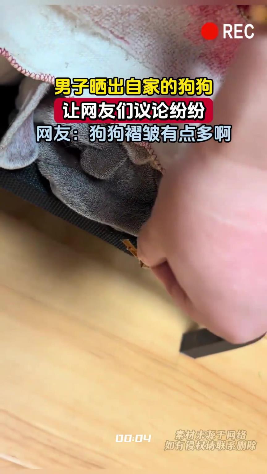 男子晒出自家的狗狗，让网友们议论纷纷，网友：狗狗褶皱有点多啊