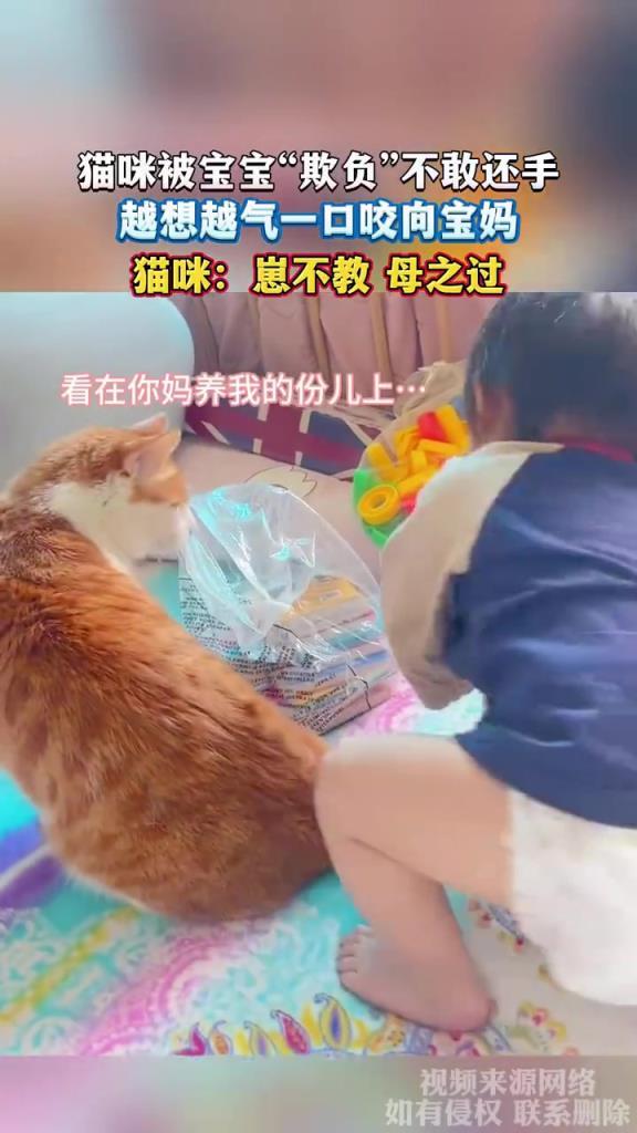 猫咪被宝宝“欺负”不敢还手，越想越气一口咬向宝妈
