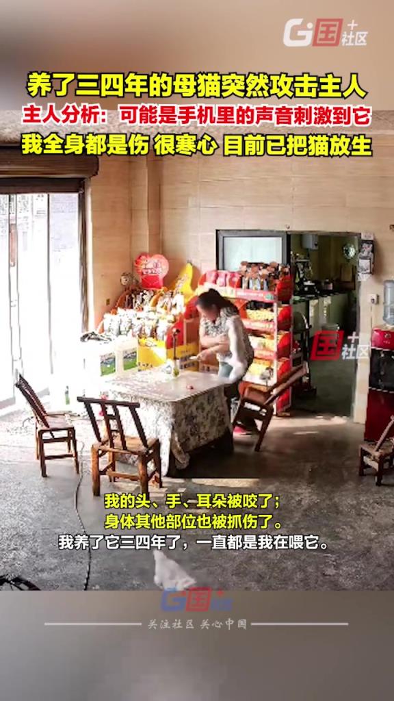 家猫突然攻击主人，主人：我养了它三四年了，一直都是我在喂它