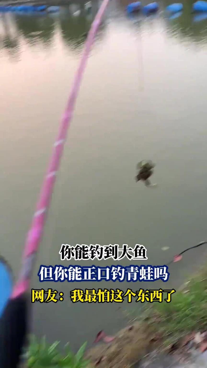 你能钓到大鱼，但你能正口钓青蛙吗，网友：我最怕这个东西了
