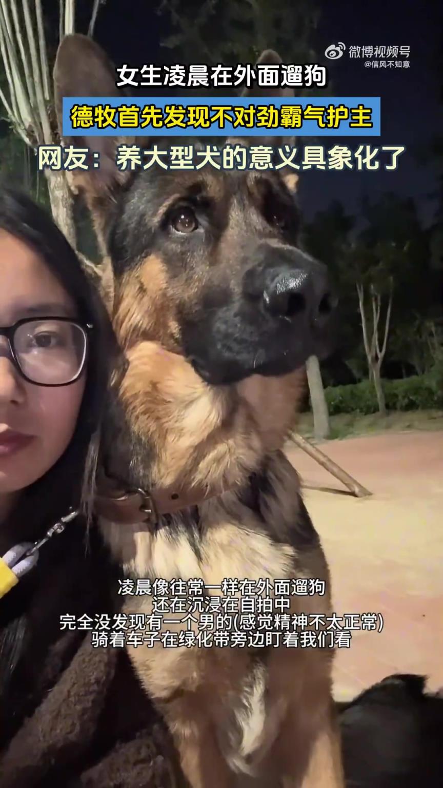 女生凌晨遛狗，德牧察觉异样霸气护主