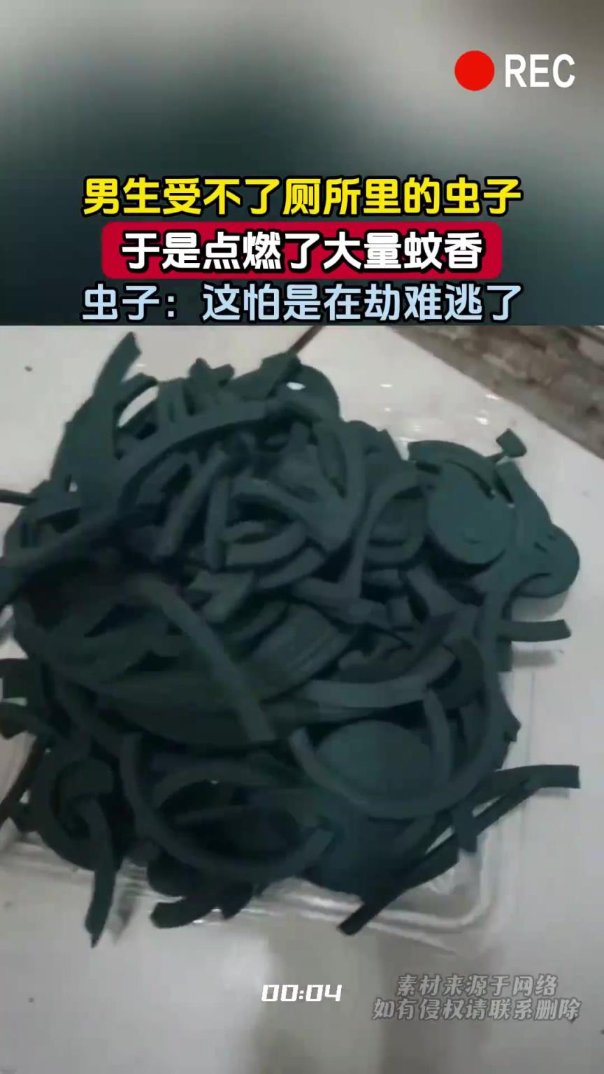 男生受不了厕所里的虫子，于是点燃了大量蚊香