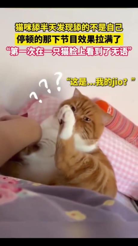 一脸不聪明的样子