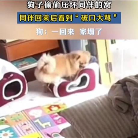 骂得有点难听了，肇事者都听不下去了