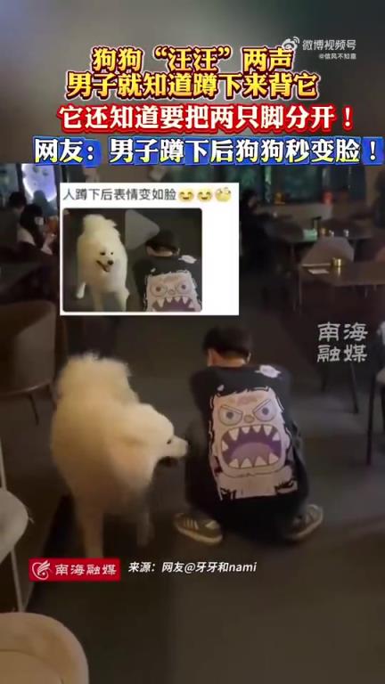狗狗“汪汪”叫两声，男子秒懂蹲下背它且它脚分开