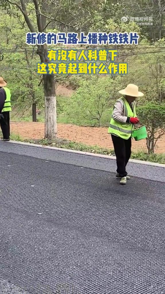 新修的马路上播种铁铁片，有没有人科普下，这究竟起到什么作用！
