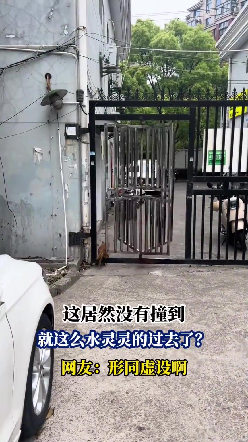 这居然没有撞到，就这么水灵灵的过去了？网友：形同虚设啊